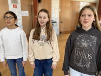 stimme IMG 9437 006